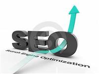 企业网站在进行搜索引擎优化时应做好网站定位与解决用户需求