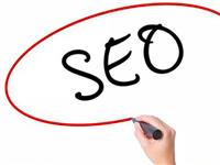 SEO优化师可以帮你尽快收录网站！