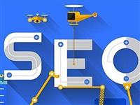 SEO优化效果展现慢的原因